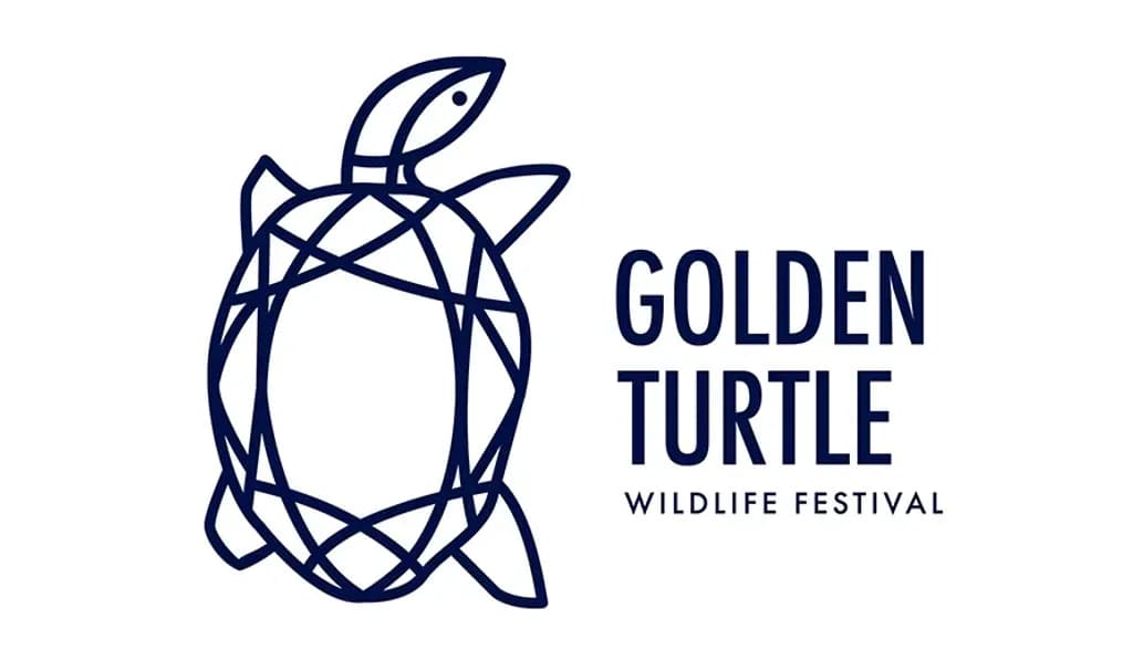 The Golden Turtle 2025 Competition